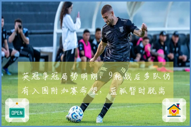 英冠争冠局势明朗，9轮战后多队仍有入围附加赛希望，蓝狐暂时脱离降级危险