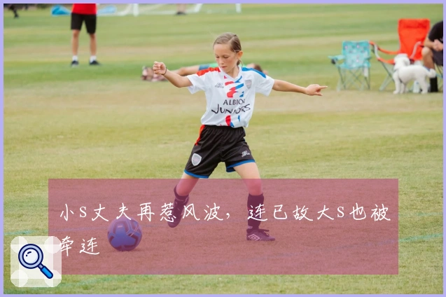 小s丈夫再惹风波，连已故大s也被牵连